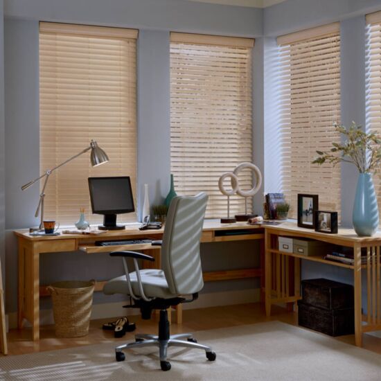 Горизонтальные жалюзи на окна в офис